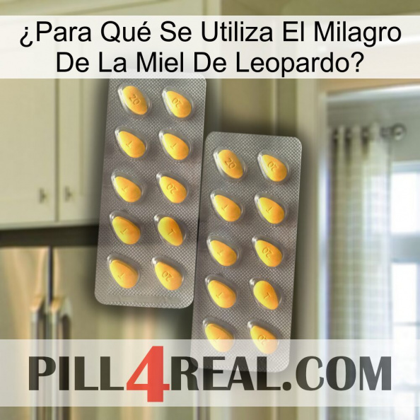 ¿Para Qué Se Utiliza El Milagro De La Miel De Leopardo cialis2.jpg